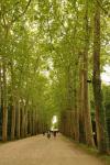 2012 07 08 chenonceaux 001